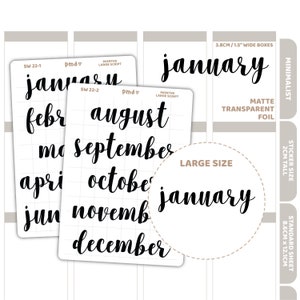 Months Large Script Word Stickers | Planner Stickers | SW22(2)