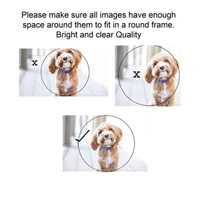 May include: Three images of a brown and white dog with a blue and white patterned collar. The dog is looking up in each image. The images are circled with a white circle and an 'X' is marked on the top two images. A checkmark is on the bottom image.