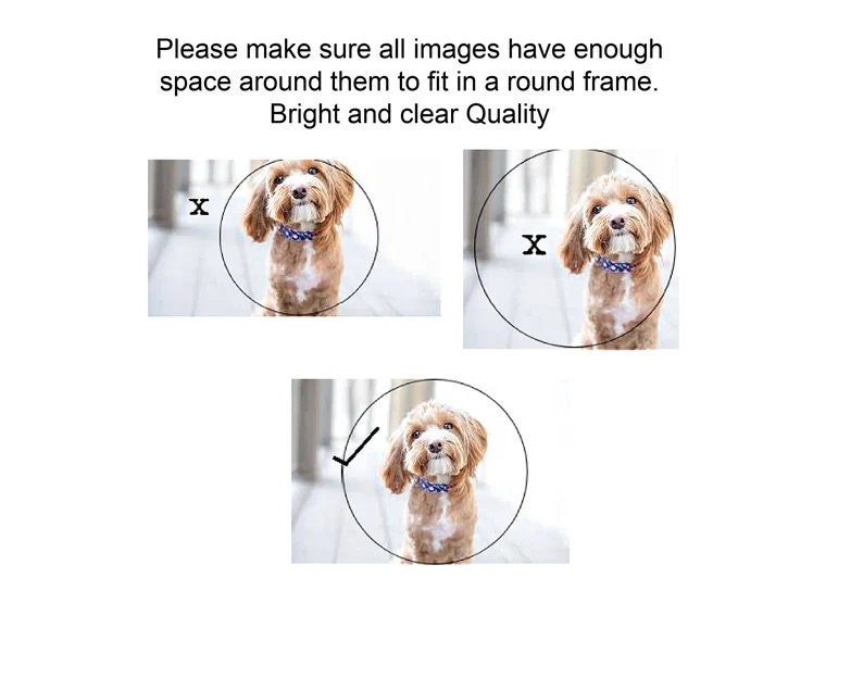 May include: Three images of a brown and white dog with a blue and white patterned collar. The dog is looking up in each image. The images are circled with a white circle and an 'X' is marked on the top two images. A checkmark is on the bottom image.