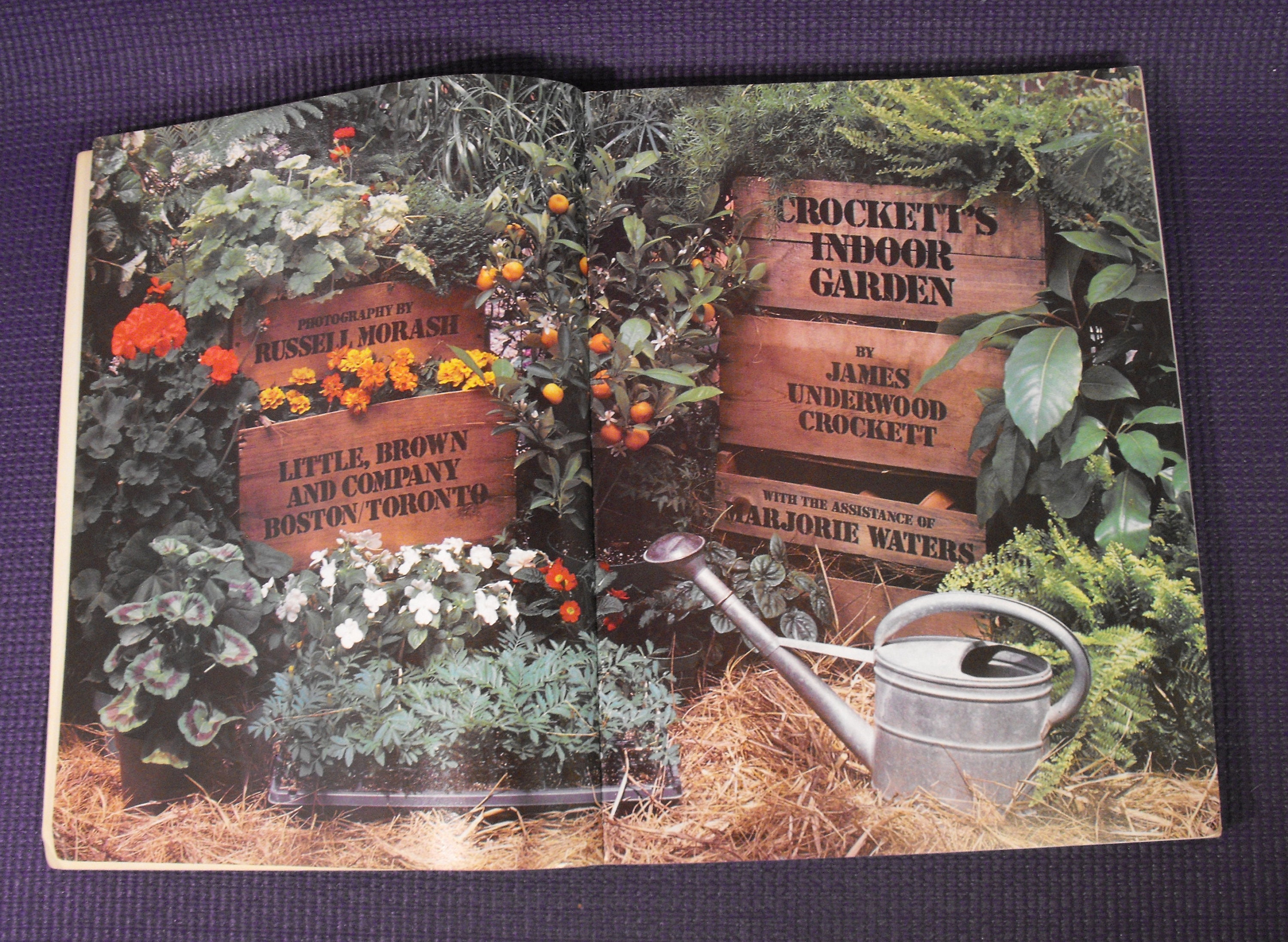 Crockett's Indoor Garden by James Underwood Crockett | Etsy