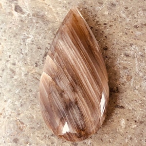 Montana Agatized Petrified Wood/Cabochon Created By Blaze