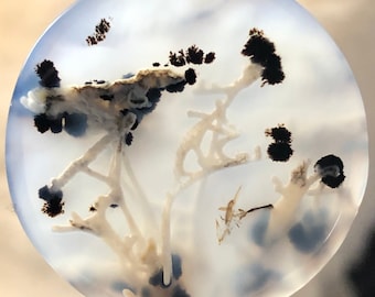 May include: A round, white agate stone with black dendritic patterns. The patterns resemble branches and trees. The stone is translucent and has a light blue hue.