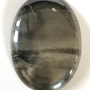 Montana Petrified Wood Cabochon