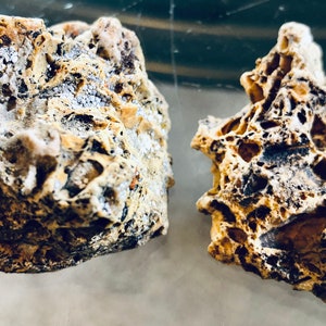 Eldorado Bar Impact Fusion Crusted Limestone Sliced Specimen