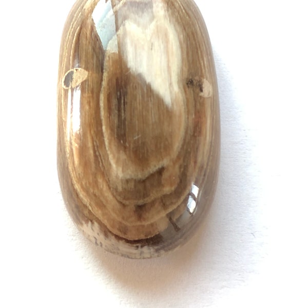 Montana Petrified Wood/Cabochon Designed By Blaze