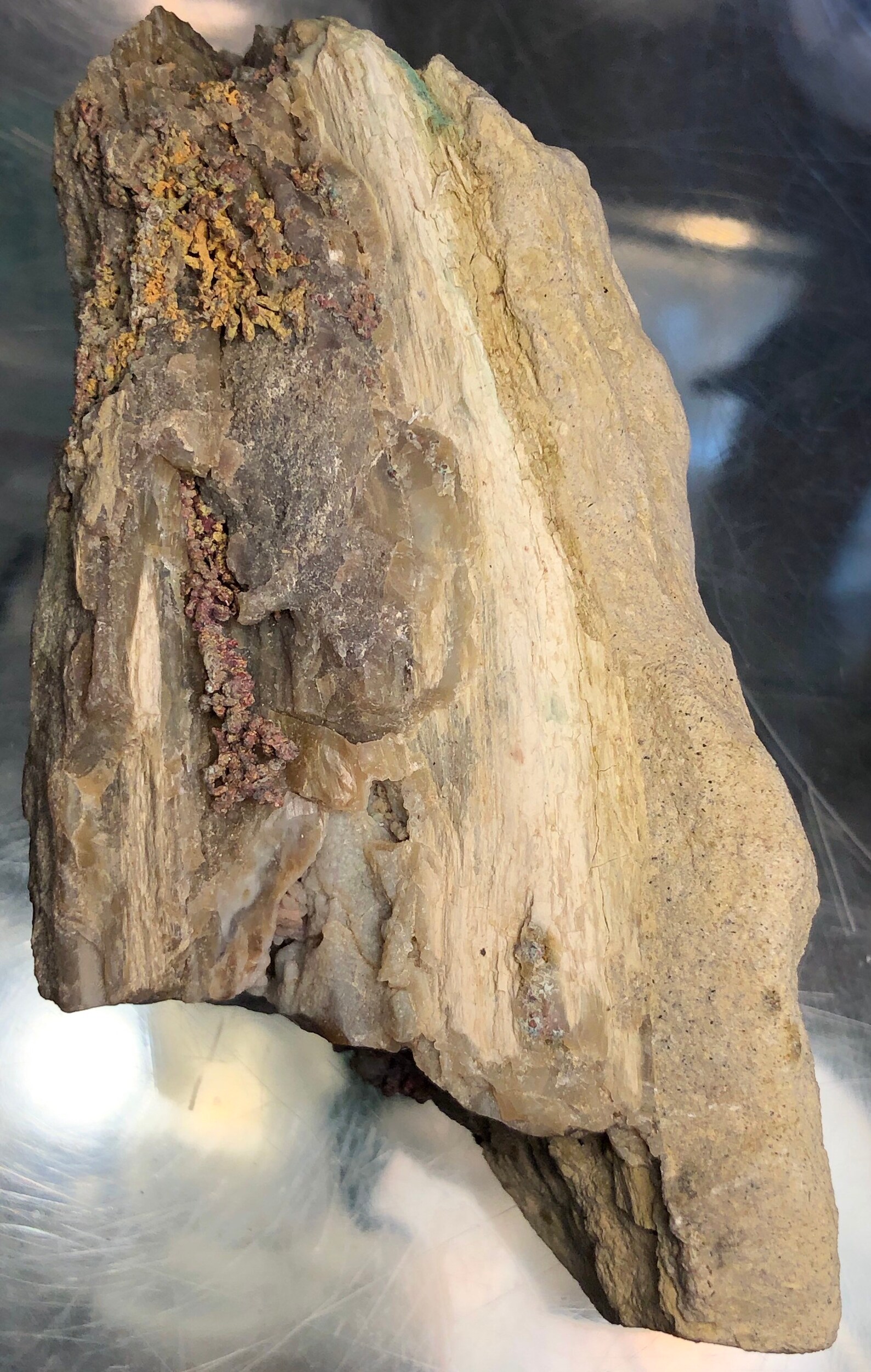 Rare Opalized Petrified Wood With Dendritic Native Copper Etsy