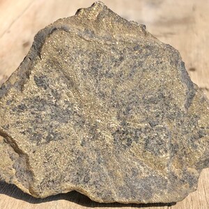 May include: A rough, flat, gray rock with a large amount of gold pyrite crystals embedded in it.