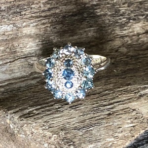 Montana Sapphire Treasure State Silver Ring Size 7