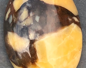 Jaspe bréchique du Montana/cabochon à impact 2,77 g