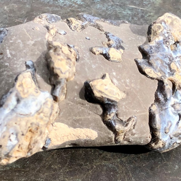 Montana Fusion Crusted Limestone Specimen From The Blaze N Gems Mine