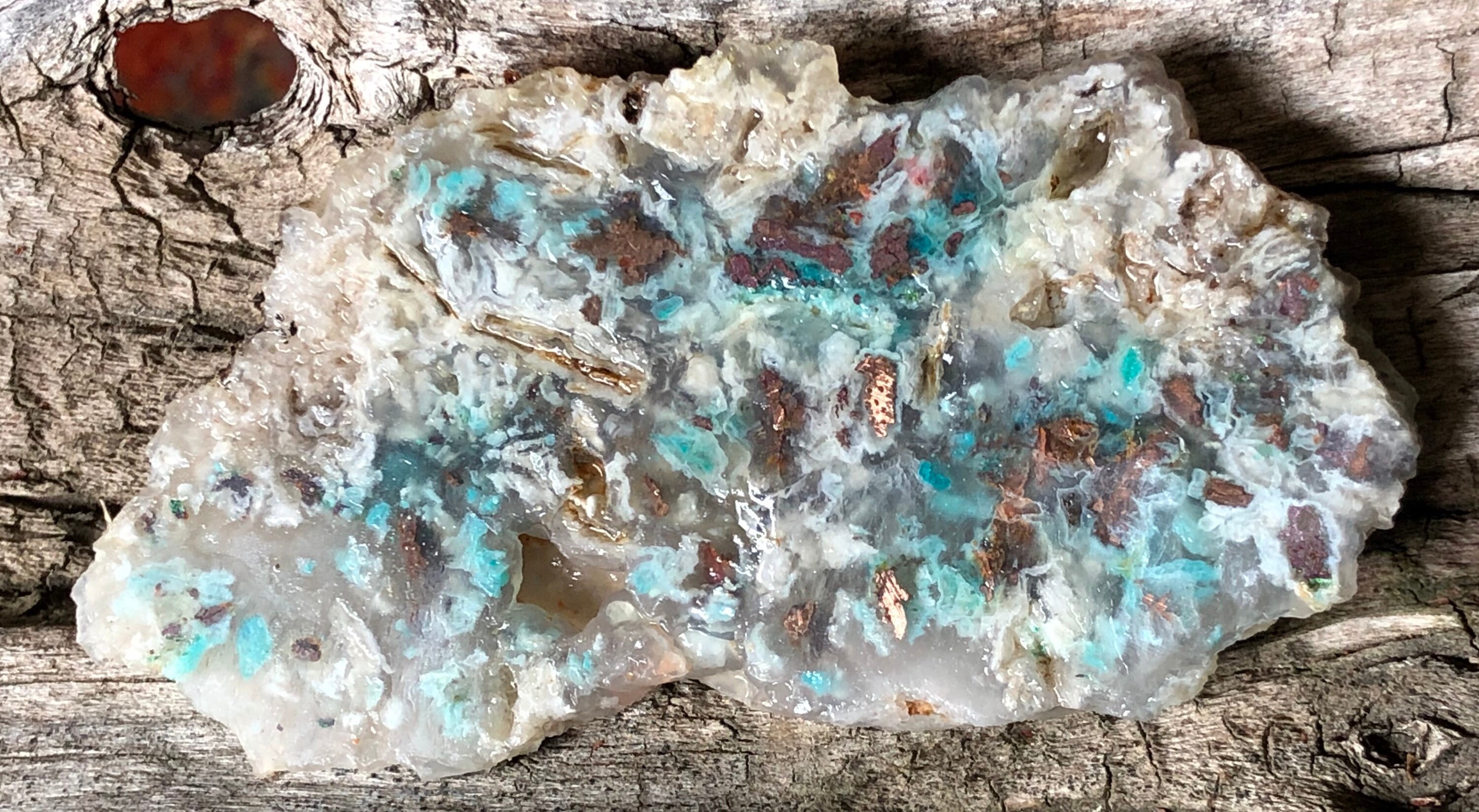 Copper Silica Rocks Gem Silica With Native Dendrite Copper Slab - Etsy