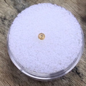 May include: A small, round, light yellow gemstone in a white foam container.