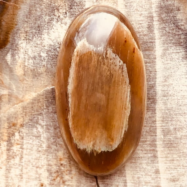 Montana Petrified Agatized Wood/Cabochon Designed By Blaze