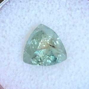 4.44ct Montana Sapphire Green Aqua Trillion Cut From The BlazeNGems Mine