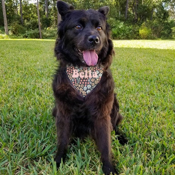 Retro Floral Collar Bandana | Custom Pet Scarf | 3 Sizes!