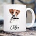 see more listings in the Gifts for Pet Lovers section