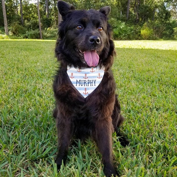 Custom Anchor Collar Bandana | Nautical Pet Scarf | 3 Sizes!