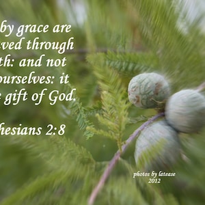 Ephesians 2:8