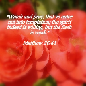 Matthew 26:41