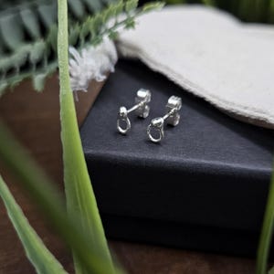 Op de afbeelding: Een paar zilveren oorstekers met een klein, open cirkelontwerp. De oorbellen worden gepresenteerd op een zwart oppervlak, met groen gebladerte en een witte doek op de achtergrond. De oorbellen zijn een sieraad.