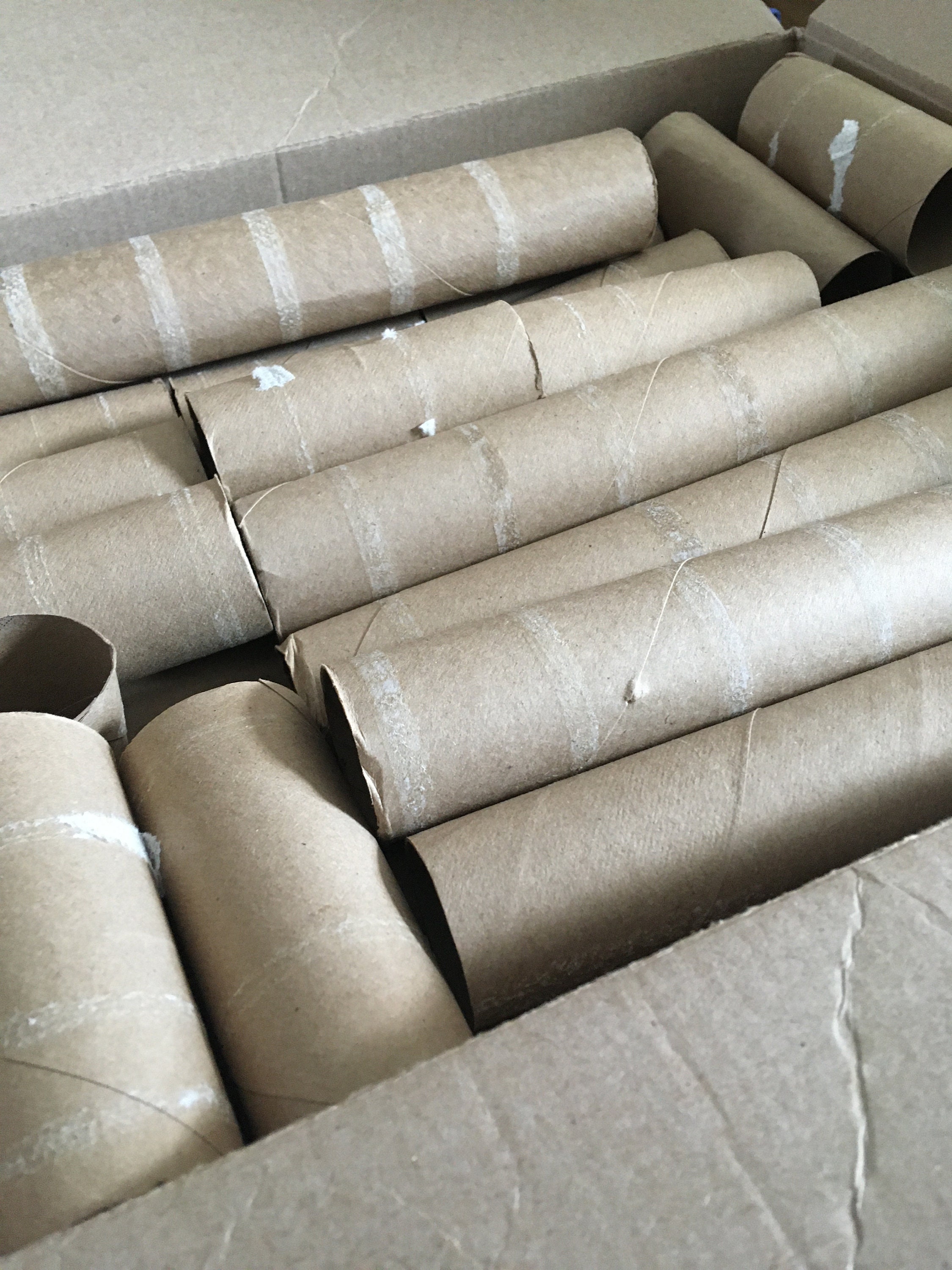 20 Clean Paper Towel Cardboard Roll Tubes School Church Crafts DIY Project  -Nice