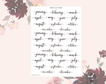 Monthly Scripts - Journaling - Premium Matte or Transparent Matte