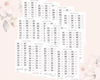 2026 DATES - Vol 4 - Journal Sticker Kit - Journal or Planner