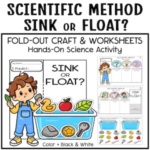 Può includere: Una scheda didattica stampabile intitolata Scientific Method Sink or Float con un personaggio dei cartoni animati, un contenitore blu pieno d'acqua e vari oggetti come una papera, una mela, una foglia, un sasso, una moneta e una chiave per esperimenti.