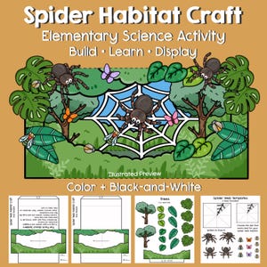 Puede incluir: Un kit de actividad científica elemental Spider Habitat Craft con una vista previa ilustrada a color de una telaraña, árboles e insectos. Incluye plantillas imprimibles de árboles, telarañas y arañas con etiquetas de texto educativas.