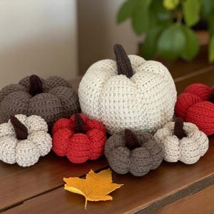 Gehaakt pompoenpatroon, haakpatroon pdf, herfst haakpatroon, Halloween haakwerk, Thanksgiving decor, pompoen haakpatroon, haakpatroon