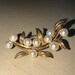 see more listings in the Brooch section