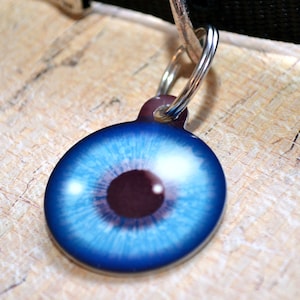 Eyeball Pet ID Tag - Dog Tag, Key Chain, Pet Identification