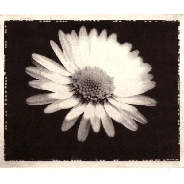 Solar Plate Etching Etsy