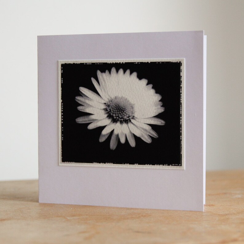 Daisy Solar Plate Etching Etsy UK