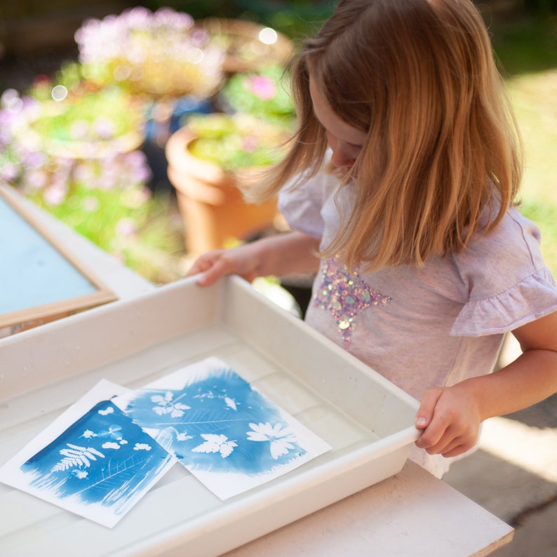May include: A young person is making cyanotype prints in a white plastic tray. Two prints are visible, one with a fern and the other with a leaf. The prints are in a shallow tray of water.