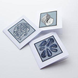 Conjunto de 3 tarjetas de felicitación hechas a mano lino de concha / tarjetas de corte lino / tarjetas de arte costero de concha /