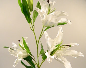 Casablanca lilies - Etsy France