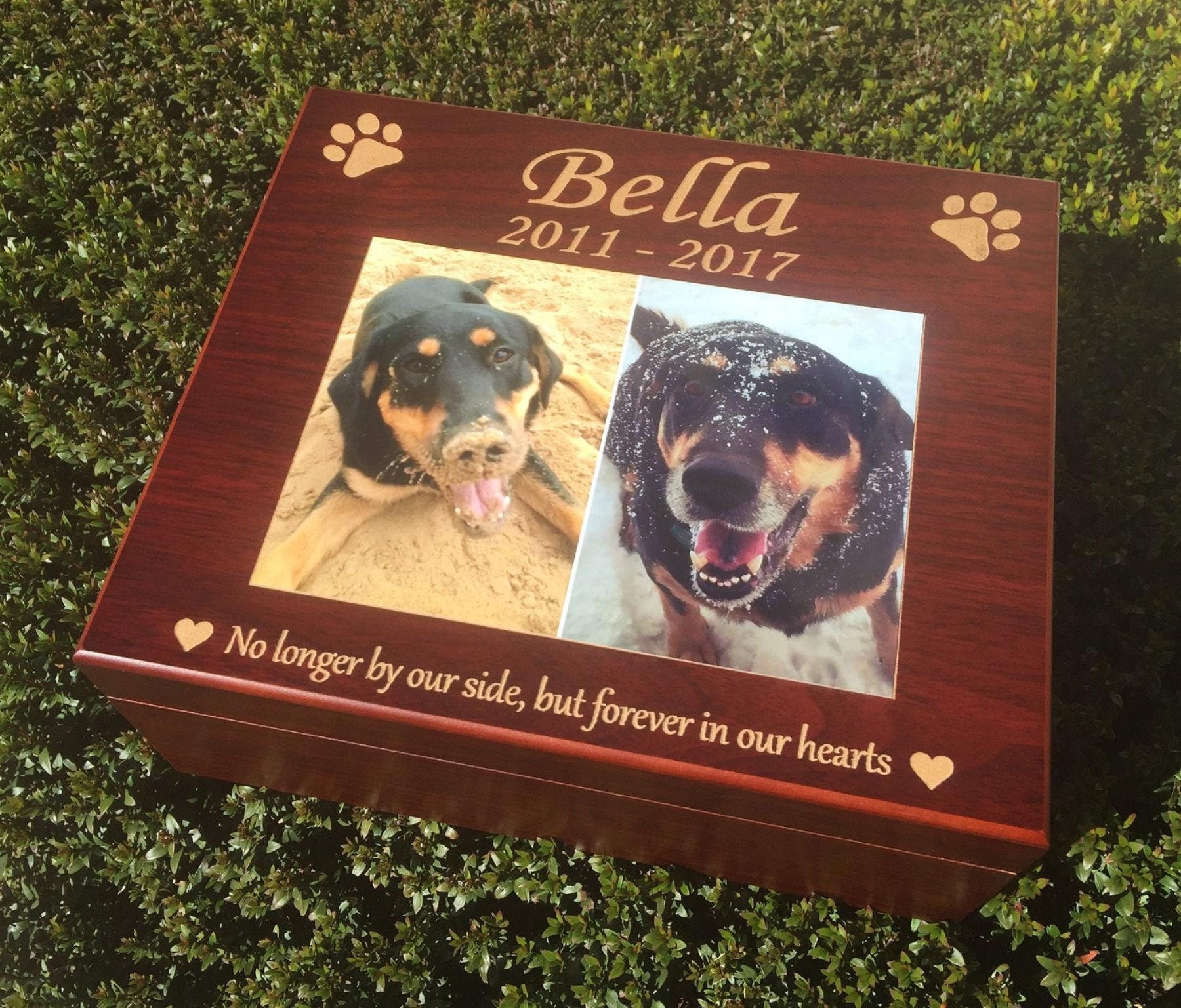 Dog Memory Box Pet Memorial Keepsake Box Pet Urn Dog Urn Etsy