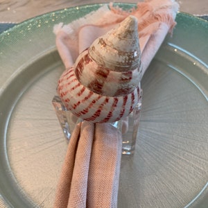4 Pottery Barn Outlet wood and shell beach napkin rings New