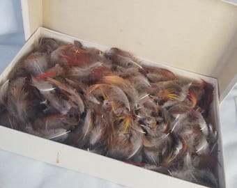 Feathers for Earrings, Hats, Crafts (300+ ct), Bulk Pheasant Hackle