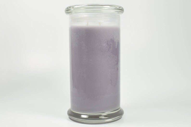 Black Raspberry Vanilla Money Candle Real Cash Candle Real Etsy