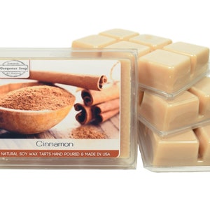 Cinnamon Wax Tarts - Scented Wax Melts, Soy Wax Tarts, Natural Wax Melts, Handmade Soy Wax Tart, Candle Melts, Wax Tart Melts, Soy Wax Melts