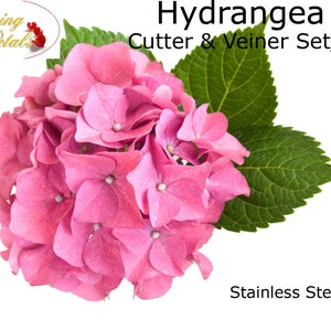 May include: A set of four stainless steel hydrangea cutters and veiners. The cutters are designed to create realistic hydrangea flower shapes for decorating cakes and other desserts.