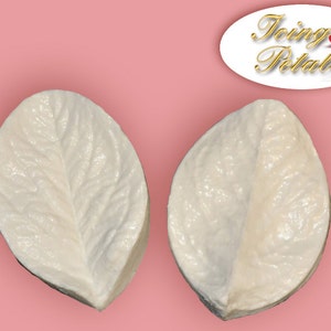 May include: Two white silicone molds for making cake decorations. The molds are shaped like leaves with detailed veins.