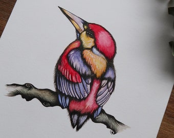 Pink Kingfisher Watercolour Fine Art Print