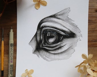 Pen and Ink Horse Eye Fine Art Print