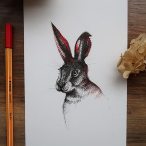 Black and Red Rabbit Pen and Ink Fine Art Print