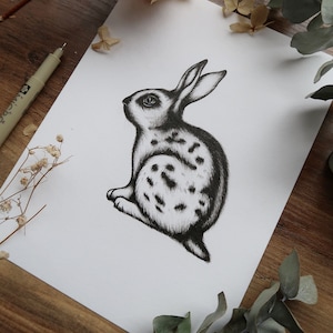The Spotted Rabbit Fine Art Print