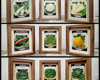 May include: Nine framed vintage seed packets featuring various vegetables like leek, cauliflower, parsnip, watermelon, collard, squash, cabbage, and kale. Each packet is in a rustic wooden frame, with the "CARD SEED CO." logo visible.
