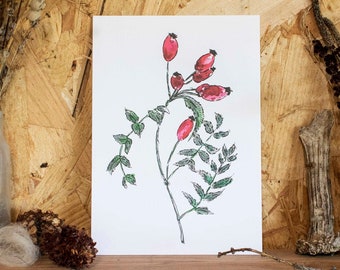 A5 Reproduction "Rose Hip"